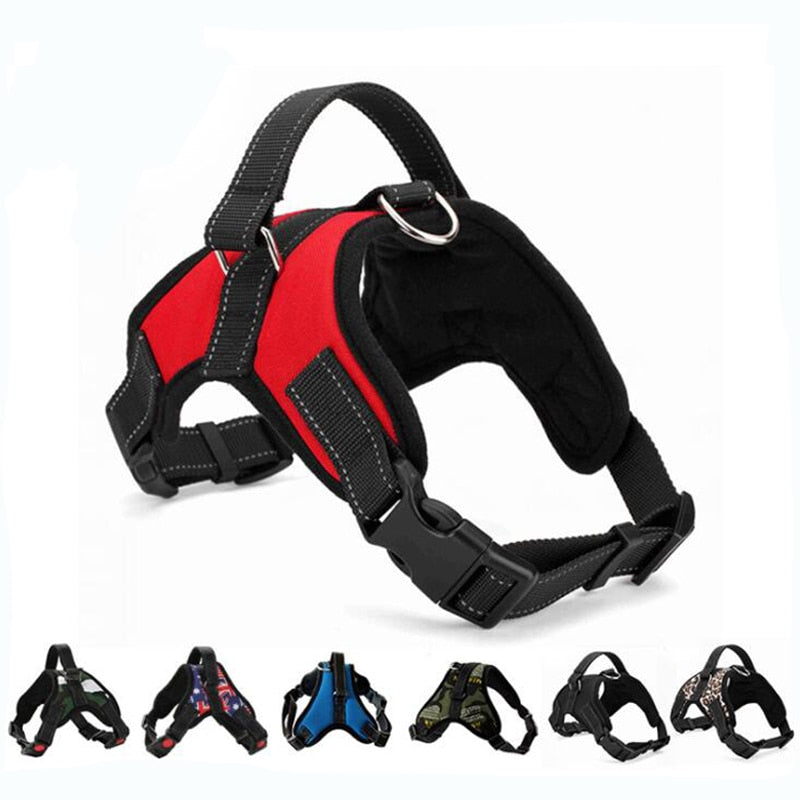 Pup Walk™️- All-In-One Dog Harness