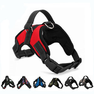 Pup Walk™️- All-In-One Dog Harness