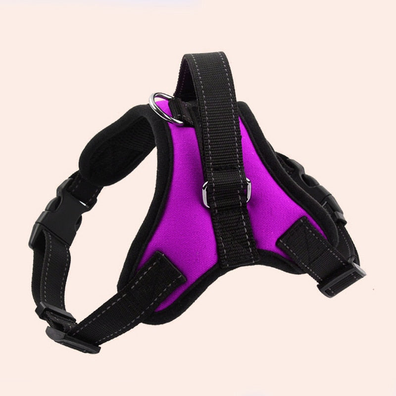 Pup Walk™️- All-In-One Dog Harness