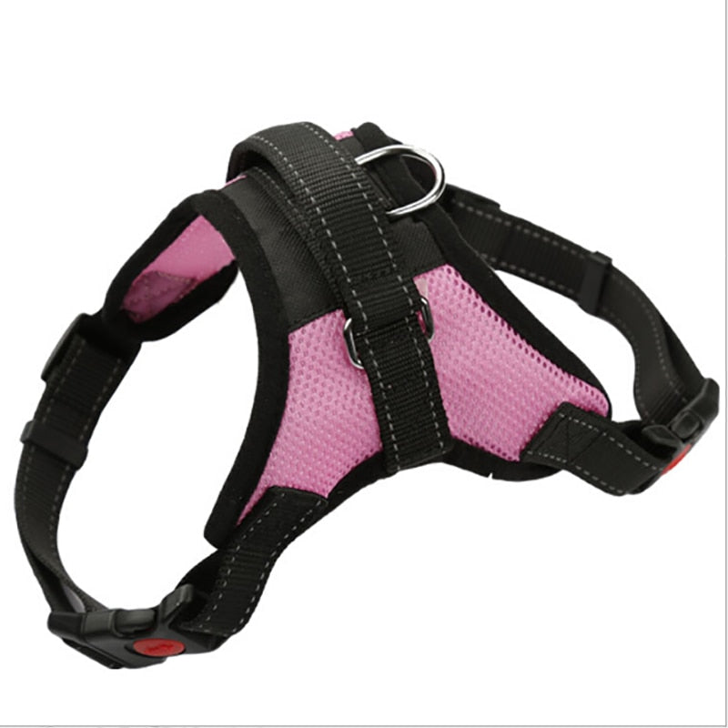 Pup Walk™️- All-In-One Dog Harness