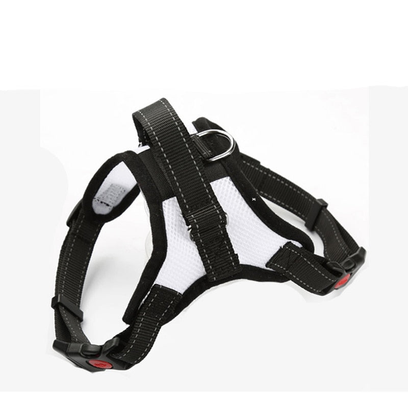 Pup Walk™️- All-In-One Dog Harness