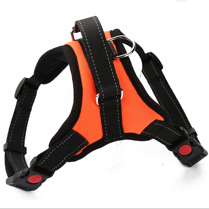 Pup Walk™️- All-In-One Dog Harness