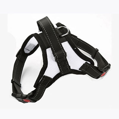 Pup Walk™️- All-In-One Dog Harness