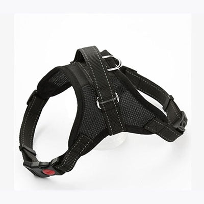 Pup Walk™️- All-In-One Dog Harness